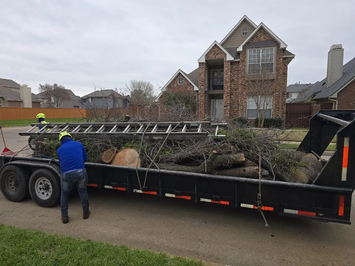 Expert Lot Clearing with proper safety equipment in Deerbrook